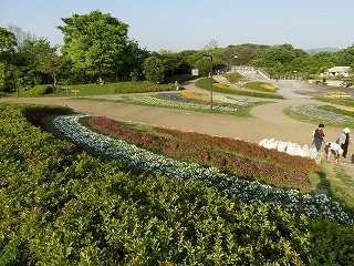 005.jpg